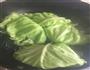 龙利鱼包菜卷的做法图解1