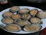 清蒸鲍鱼的做法图解3