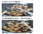 香酥鸡翅的做法图解7