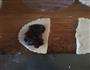 菠萝酥皮派的做法图解6