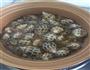 蒜香花螺的做法图解5