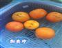 糖渍柑饼的做法图解1