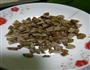 白玉豆腐肉丸蒸蛋羹的做法图解5