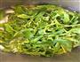菠菜拌粉丝的做法图解1