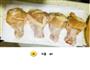 小鸡腿的做法图解3