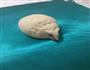 蒸面食刺猬老鼠小白兔的做法图解5