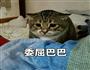 嘎嘣脆的存稿君-贰的做法图解8