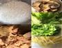 咸鸡肉生菜粥的做法图解1