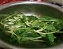蚝油小油菜的做法图解1