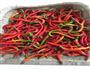 秘制酸辣椒,酸萝卜的做法图解1
