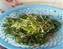 韭菜金针菇的做法图解1