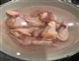 香酥鸡肉棒的做法图解1