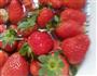 草莓酱的做法图解1