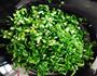 马蹄荸荠韭菜水饺的做法图解3