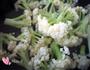 浇汁菜花的做法图解3
