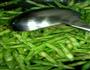 豆角炒肉的做法图解6