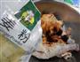 沙茶酱烧鸡腿的做法图解7
