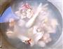 吉祥凤菇的做法图解3