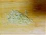 爽口白菜的做法图解4