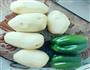 青椒土豆肉包的做法图解2