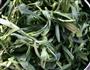 蒸菇扎菜的做法图解1
