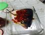 剁椒鱼头的做法图解1