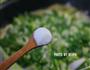 千张牛肉青菜汤的做法图解8