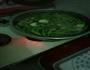 排骨炖豆角的做法图解2