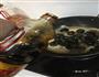 田螺塞肉的做法图解9
