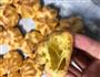 鲜奶泡芙的做法图解11
