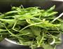 荠菜大馄饨的做法图解2
