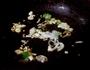 肉沫豆腐的做法图解5