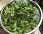 马兰头拌香干的做法图解1