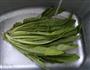 凉拌沙茶油麦菜的做法图解1