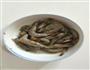 茄汁儿焖大虾的做法图解1