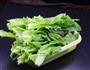 蒜蓉炒油麦菜的做法图解2