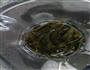 超简单的奶茶的做法图解2