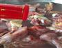 手抓鸡肉饭的做法图解2