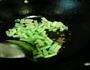 土豆炖豆角的做法图解5