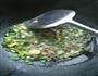 麻婆豆腐的做法图解4
