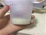 核桃花生露的做法图解2