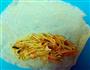 豆芽菜春卷的做法图解11