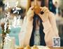 水滴红枣蛋糕的做法图解8