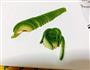 牛油果花朵的做法图解6