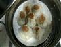 鲜肉烧麦的做法图解6