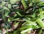 芹菜炒肉的做法图解6