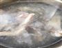 羊肉泡馍的做法图解1
