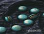 星空马卡龙的做法图解20