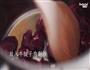 韩式辣牛肉汤的做法图解7