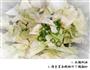 菜之手撕包菜的做法图解2